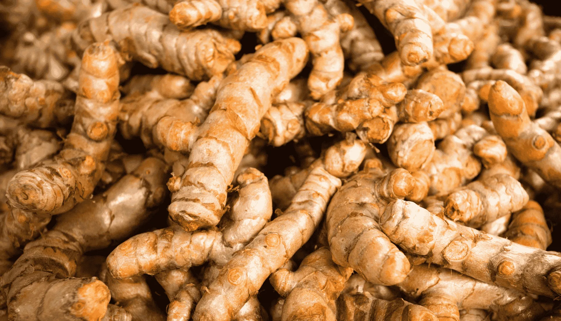 Curcumin