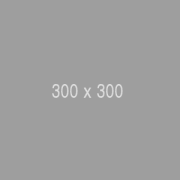 300x300